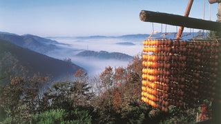 Kakishibu Tannin Dye