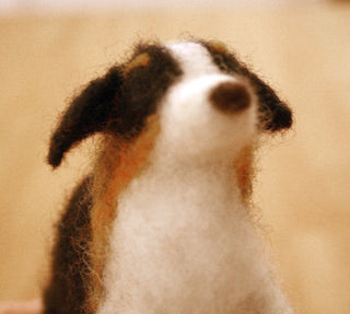 Needle Felting