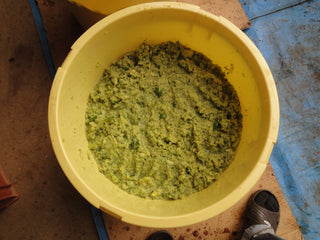 Kakishibuzome (Tannin Dye)