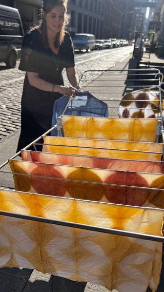 Earth Color Dye Lab: BYO Dyeing Workshop
