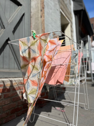 Earth Color Dye Lab: BYO Dyeing Workshop