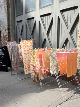 Earth Color Dye Lab: BYO Dyeing Workshop