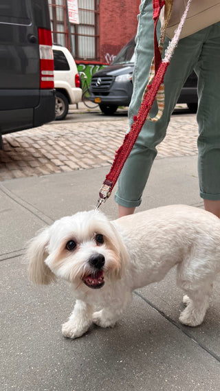 Dog Leash