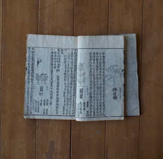 Lecture: 京藍 Kyō-ai- The Revival of a Lost Color and Life