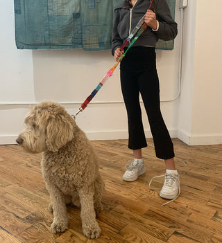 Dog Leash