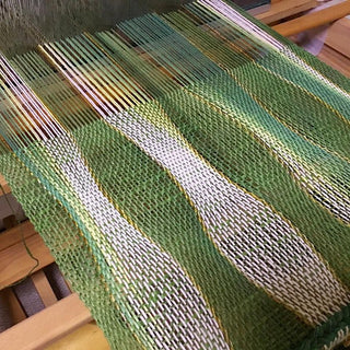 Fan Reed