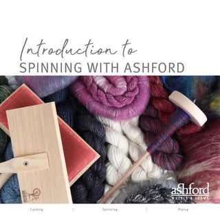 Ashford's Introduction to Spinning Kit