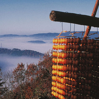 Kakishibuzome (Tannin Dye)
